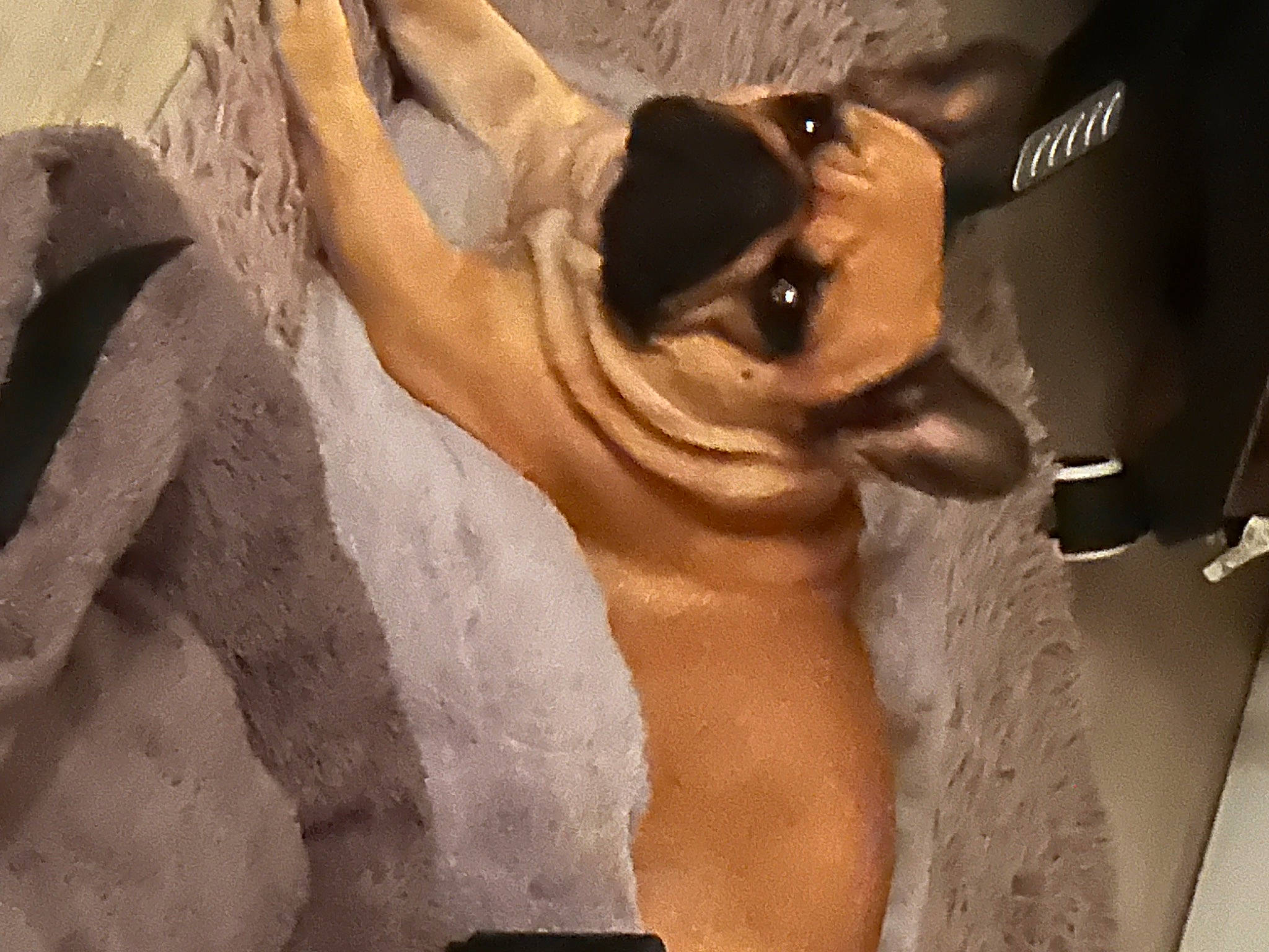 Romie participe au concours pour gagner de l'argent avec cette photo : art, barechested, carnivore, chest, companion_dog, dog, dog_breed, dog_collar, eyewear, fawn, head, human_leg, jaw, painting, snout, toy_dog, trunk, visual_arts, working_animal, wrinkle