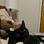 black_cat, cat, pet, stuffed_animal, plush_toy, bed, lamp, indoor, cozy, yellow_eyes, fur, animal, relaxed, home, cute, soft, resting, sleepy, comfort, feline