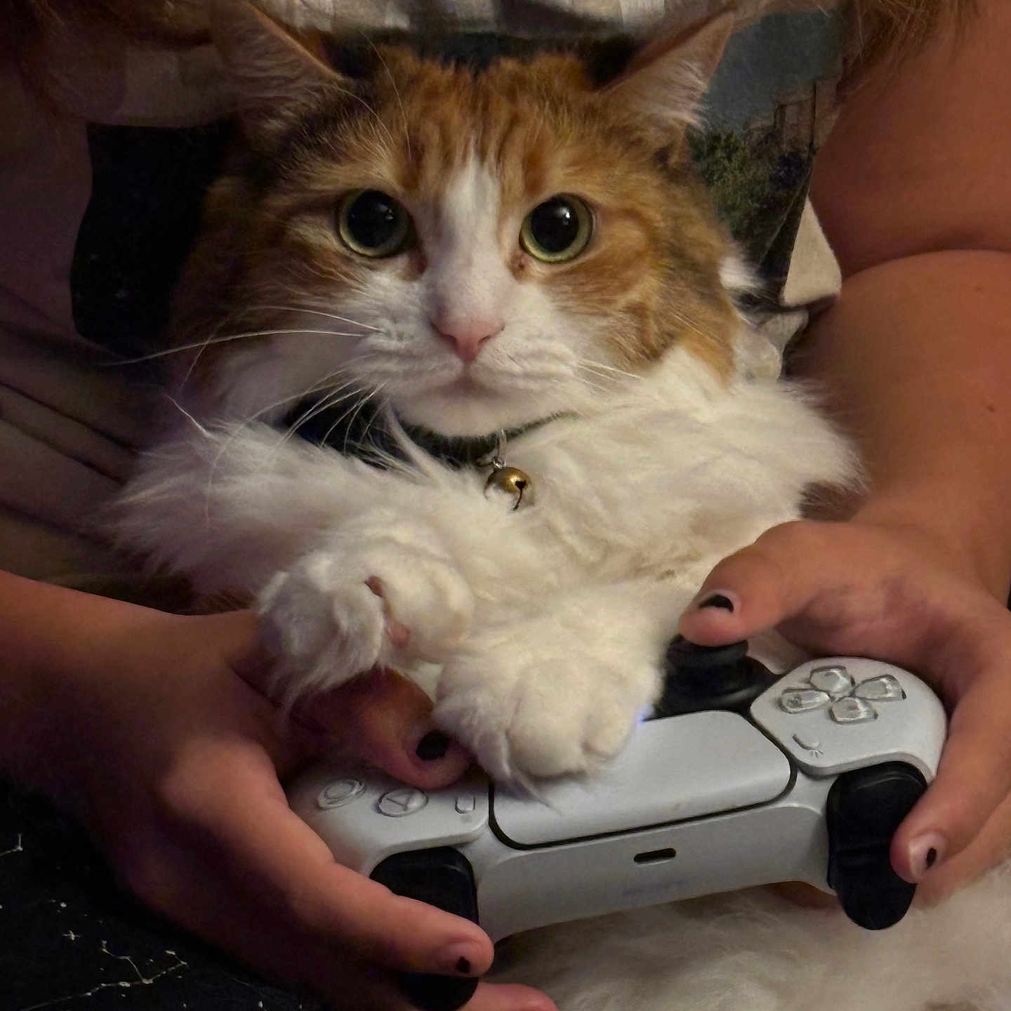 Remi