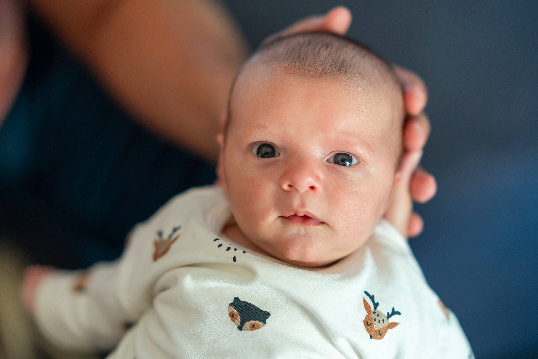 Evan participe au concours pour gagner de l'argent avec cette photo : baby, baby_toddler_clothing, cheek, chin, collar, ear, eyebrow, eyelash, finger, flash_photography, forehead, gesture, happy, iris, lip, nose, person, skin, sleeve, smile