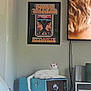 Olive is registered to the contest to win money with this photo: cat, white_cat, record_player, retro, living_room, poster, tv_screen, plush_toys, macaron_cushions, shark_plush, furniture, cozy, relaxing, interior, vintage_poster, blue_furniture, wall_art, couch, home_decor, animal