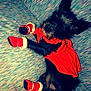 dog, small_dog, pet, red_dress, red_booties, couch, furniture, indoor, animal, cute, festive, holiday, costume, fur, black_fur, tail, ears, lying_down, looking_up, cozy