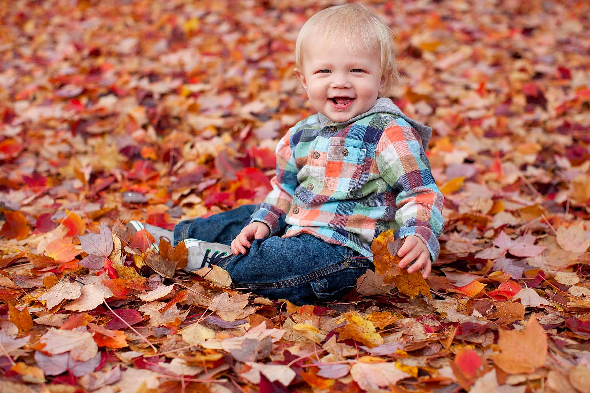 Cleo is registered to the contest to win money with this photo: autumn, baby, baby_toddler_clothing, child, deciduous, grass, happy, head, leaf, orange, people_in_nature, person, plant, portrait_photography, sitting, smile, sunlight, tints_and_shades, toddler, tree