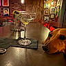 dog, cocktail, martini, bar, pub, restaurant, counter, table, drink, glass, lime, olive, indoor, interior, artwork, portraits, brick_wall, wood_paneling, neon_lighting, pet