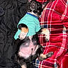 puppy, dog, sleeping, blanket, plaid, red, black, turquoise_shirt, lying_down, cute, pet, fur, paws, indoors, cozy, resting, relaxed, small_dog, canine, nap