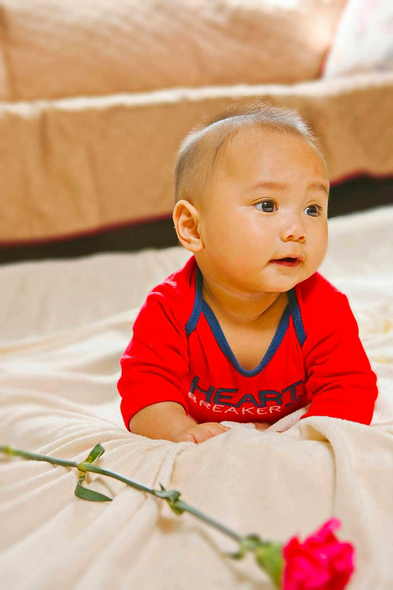 Kyrie joined the competition — help win amazing prizes! baby, infant, red_clothing, blanket, flower, indoor, portrait, cute, child, lying_down, soft_texture, curious, face, head, skin, hand, young_child, expression, cozy, casual