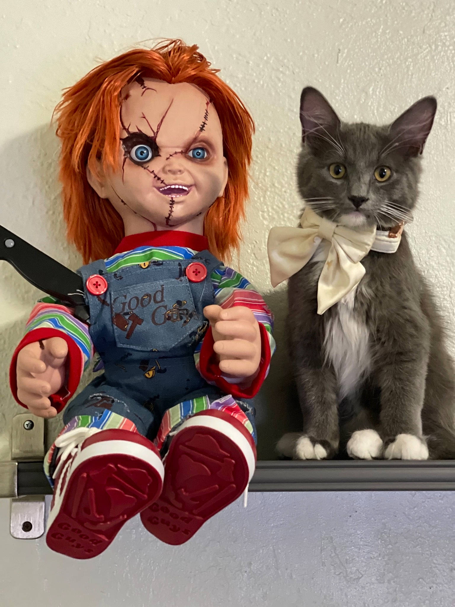 Oliver joined the competition — help win amazing prizes! action_figure, brown_hair, carmine, carnivore, cat, doll, domestic_short_haired_cat, felidae, fictional_character, figurine, fur, gesture, illustration, small_to_medium_sized_cats, stuffed_toy, tail, thigh, toy, whiskers, wig