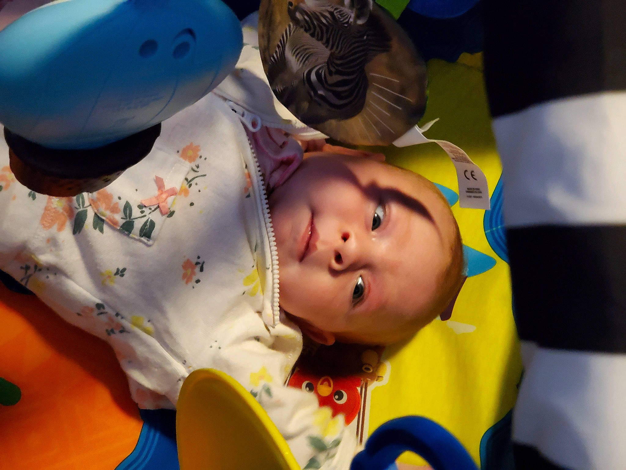 Astrid joined the competition — help win amazing prizes! baby, baby_products, baby_toddler_clothing, cheek, child, fun, games, happy, leisure, nose, person, plastic, play, recreation, room, toddler, toy, yellow