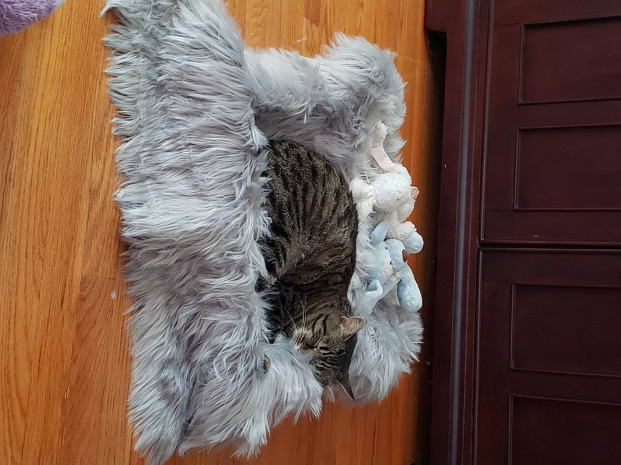 Doodle joined the competition — help win amazing prizes! fur, fur_clothing, natural_material, outerwear, tail, textile, wool