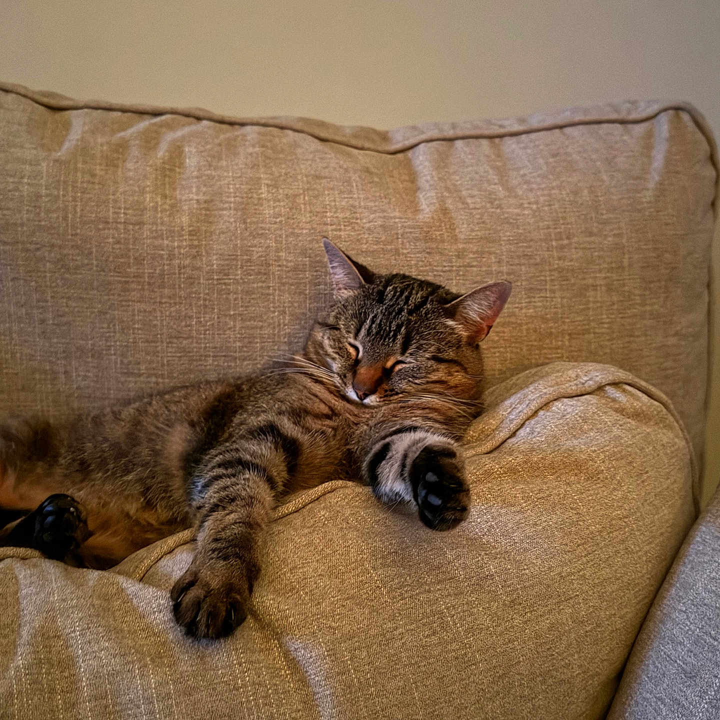 Mitzi