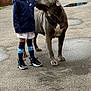 Titto joined the competition — help win amazing prizes! blue_car, boy, car, child, cute, dog, fence, friendship, gray_dog, nike_logo, outdoor, pacifier, pavement, pet, shoes, smile, socks, sportswear, standing, urban