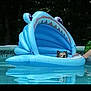 dog, pool, inflatable, shark, float, water, summer, pet, animal, outdoor, relaxing, blue, swimming_pool, canine, leisure, vacation, fun, toy, floating, head