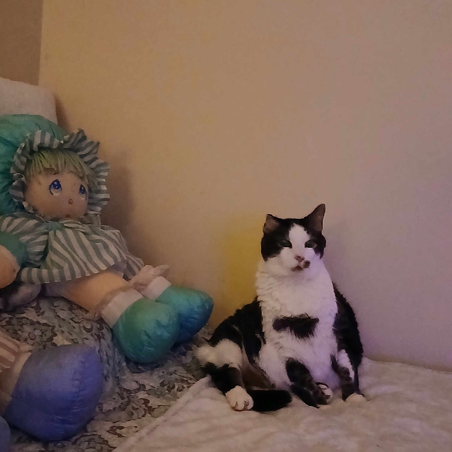 Gus is registered to the contest to win money with this photo: cat, kitten, black_and_white, sitting, bed, doll, toy, stuffed_toy, bedroom, indoors, furniture, blanket, pillow, wall, portrait, pet, animal, whiskers, ears, home_decor