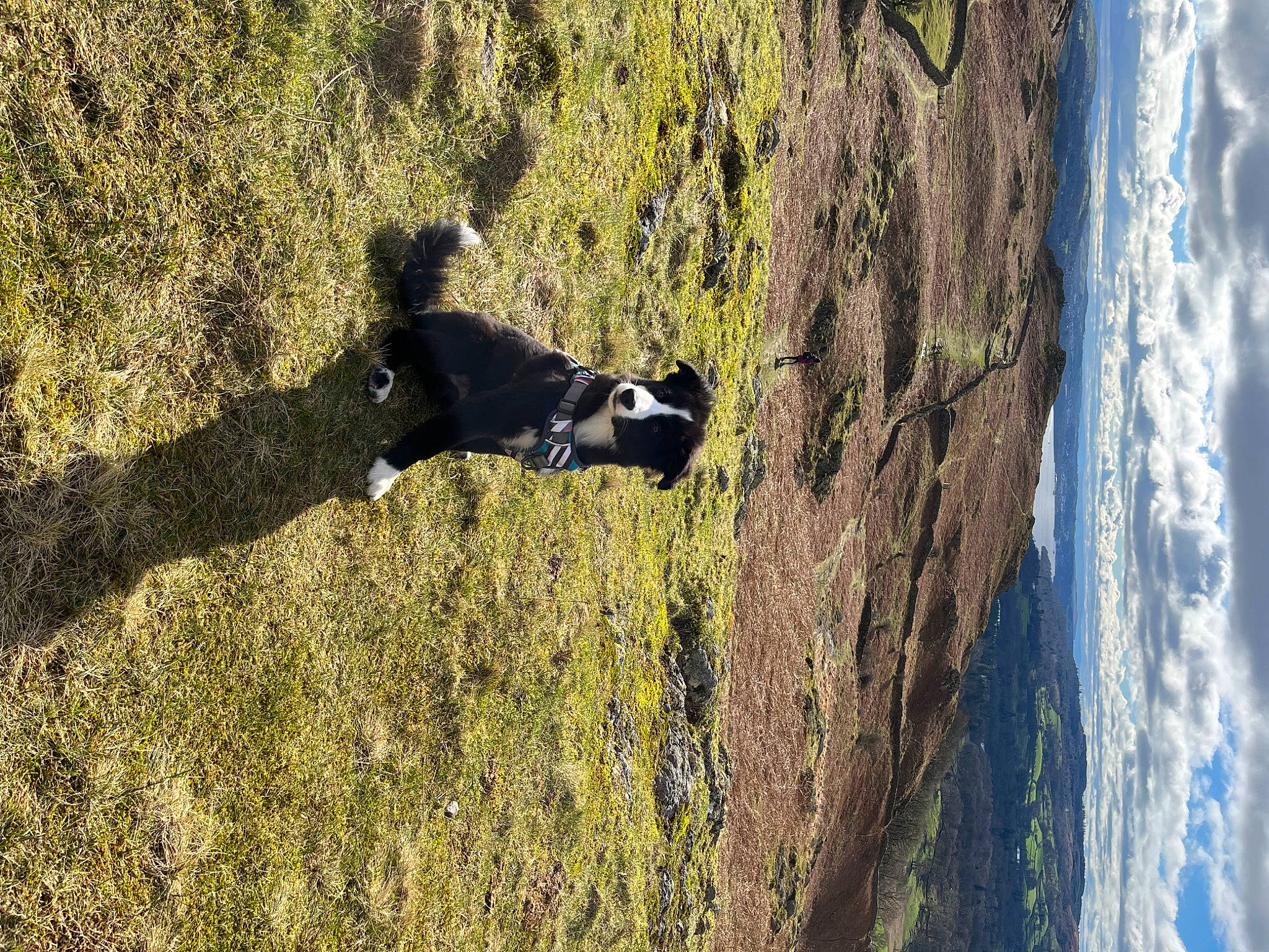 Asher joined the competition — help win amazing prizes! adventure, cloud, geology, grass, landscape, leisure, mountain, people_in_nature, plant, recreation, reflection, rock, shadow, sky, slope, soil, sport_climbing, tree, trunk, wood