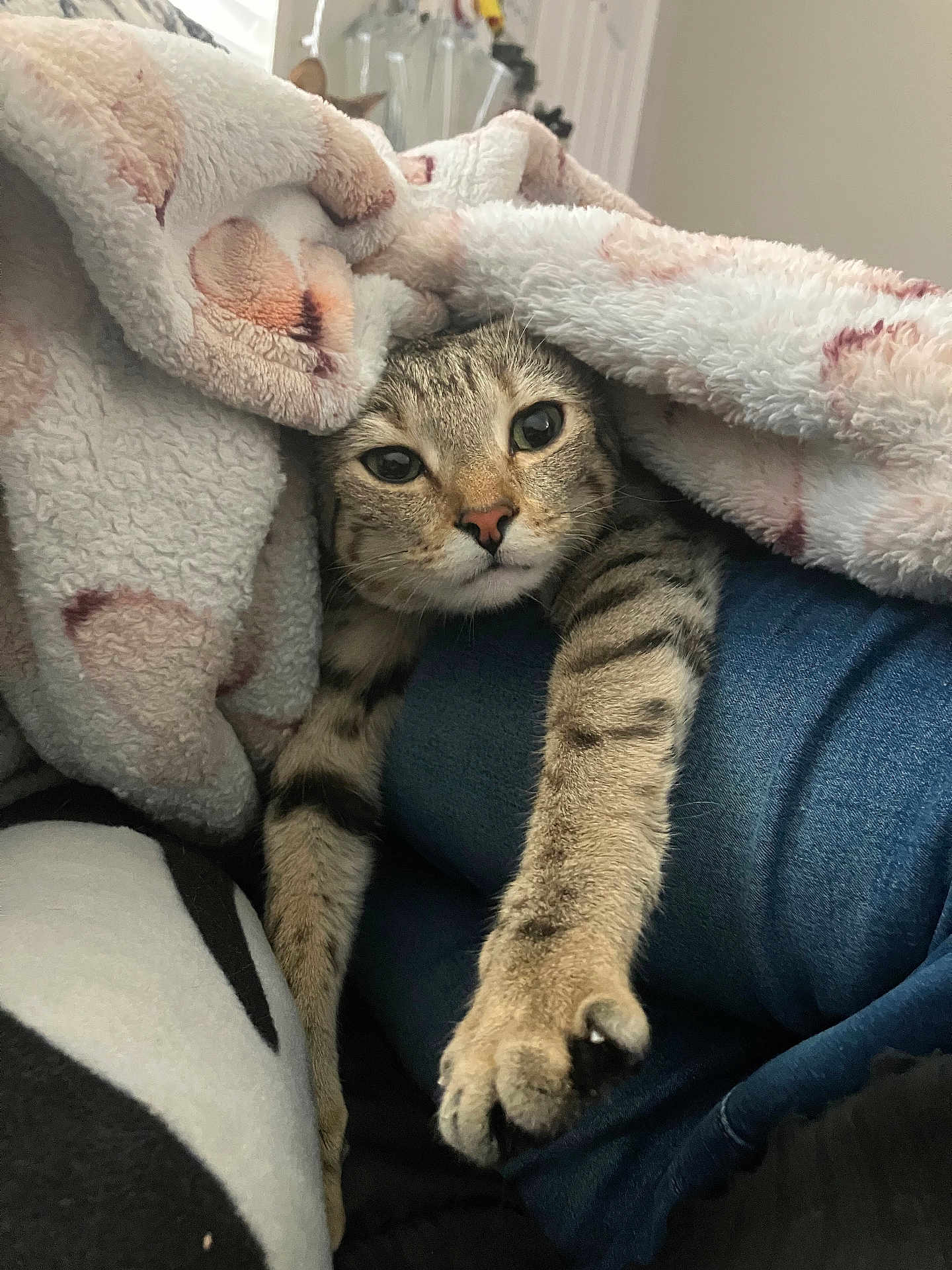 Chloe