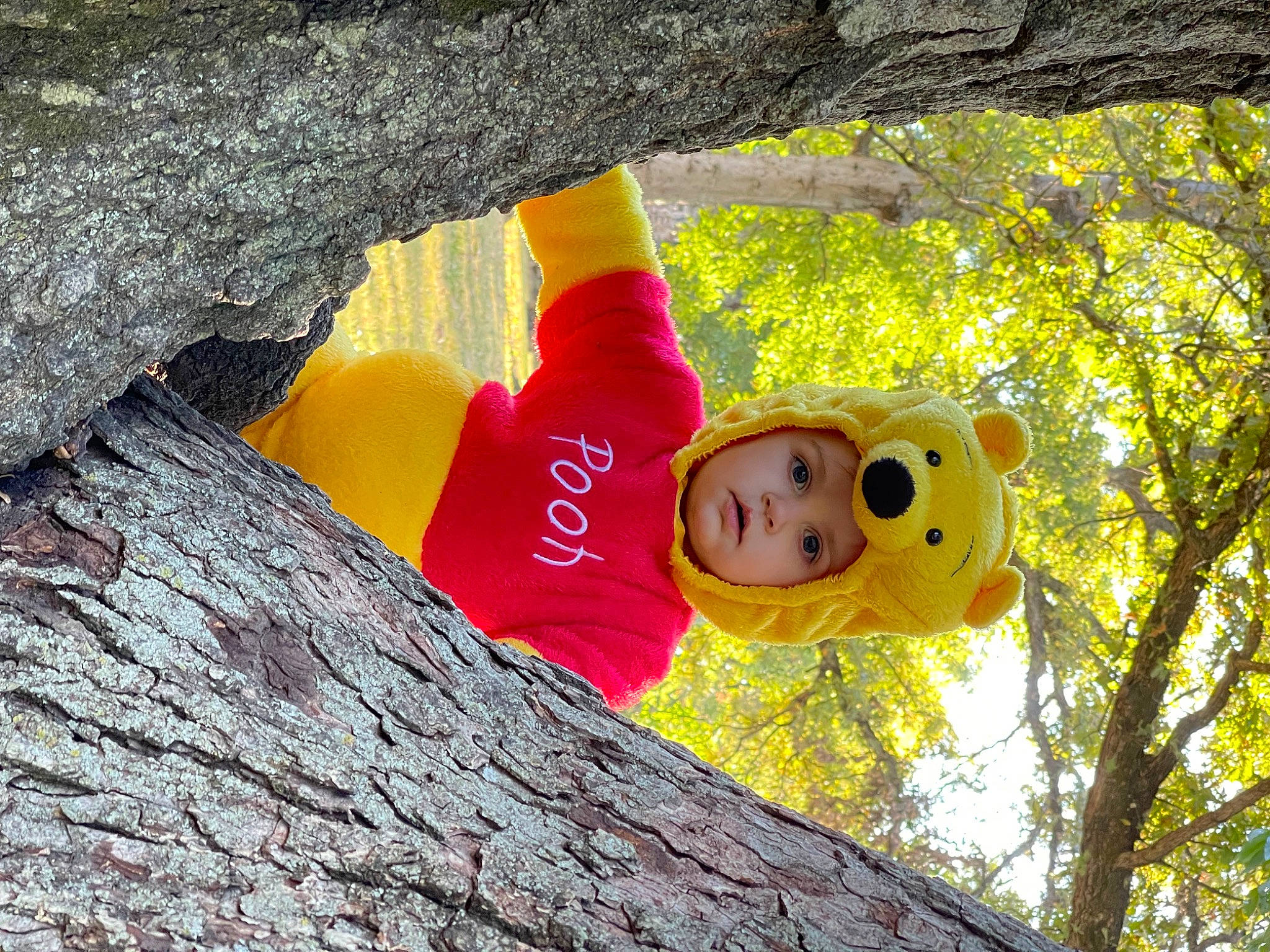 Archer joined the competition — help win amazing prizes! art, baby, bedrock, child, fun, grass, happy, headwear, landscape, leisure, magenta, pattern, people_in_nature, person, rock, soil, toddler, tree, trunk, twig