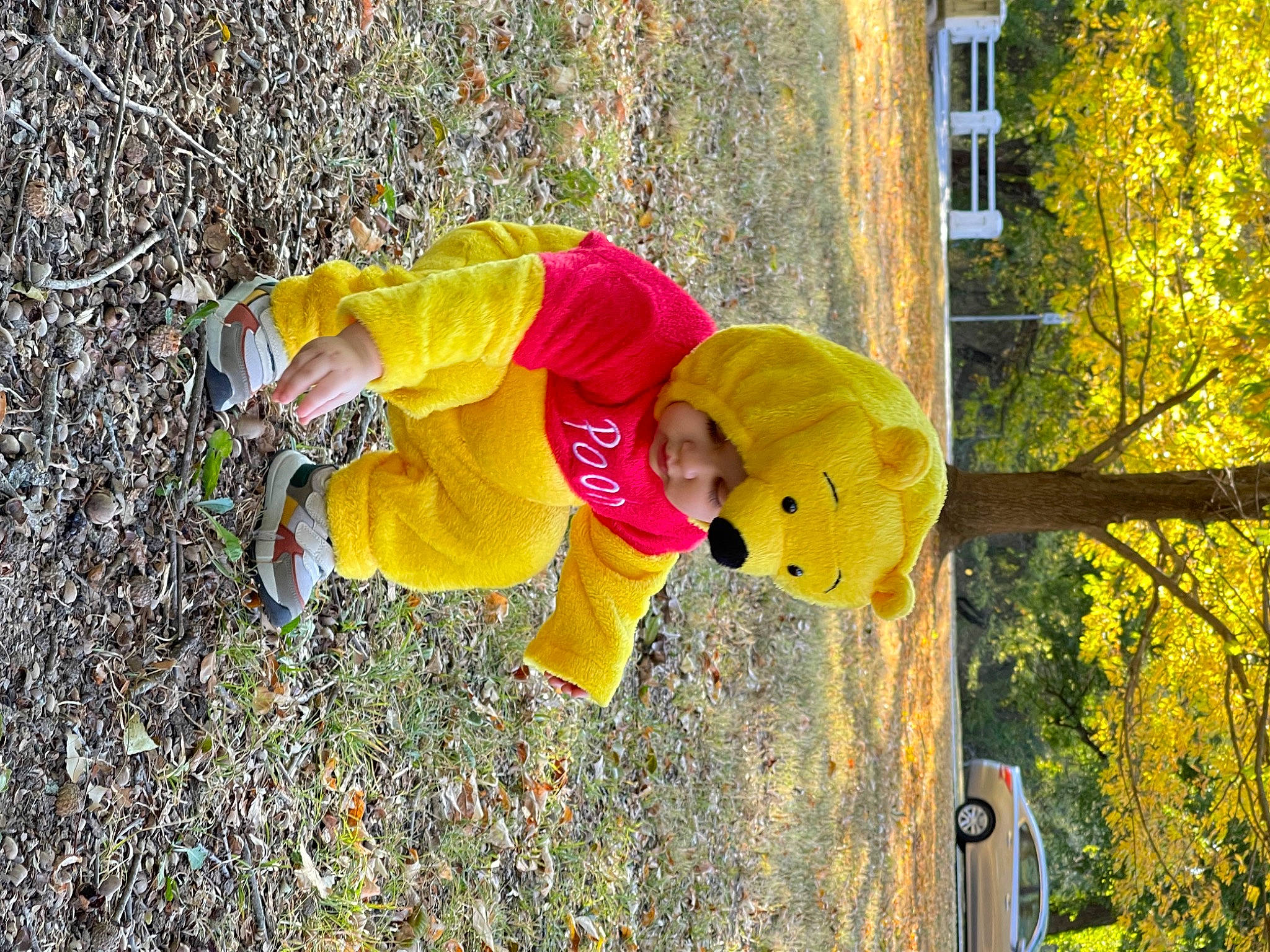 Archer joined the competition — help win amazing prizes! asphalt, autumn, child, coquelicot, fun, grass, hat, headwear, lawn_ornament, organism, people_in_nature, person, plant, road_surface, soil, teddy_bear, toddler, toy, tree, trunk