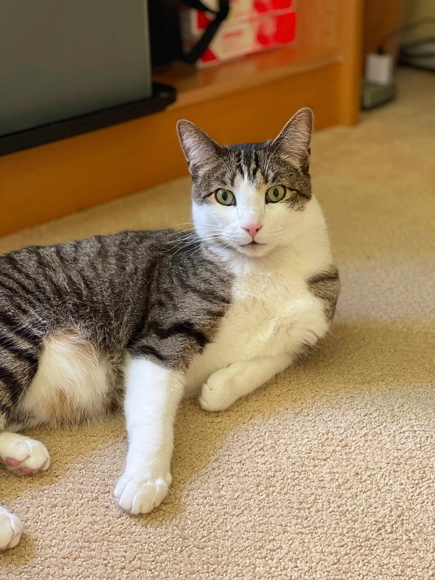 Ringo