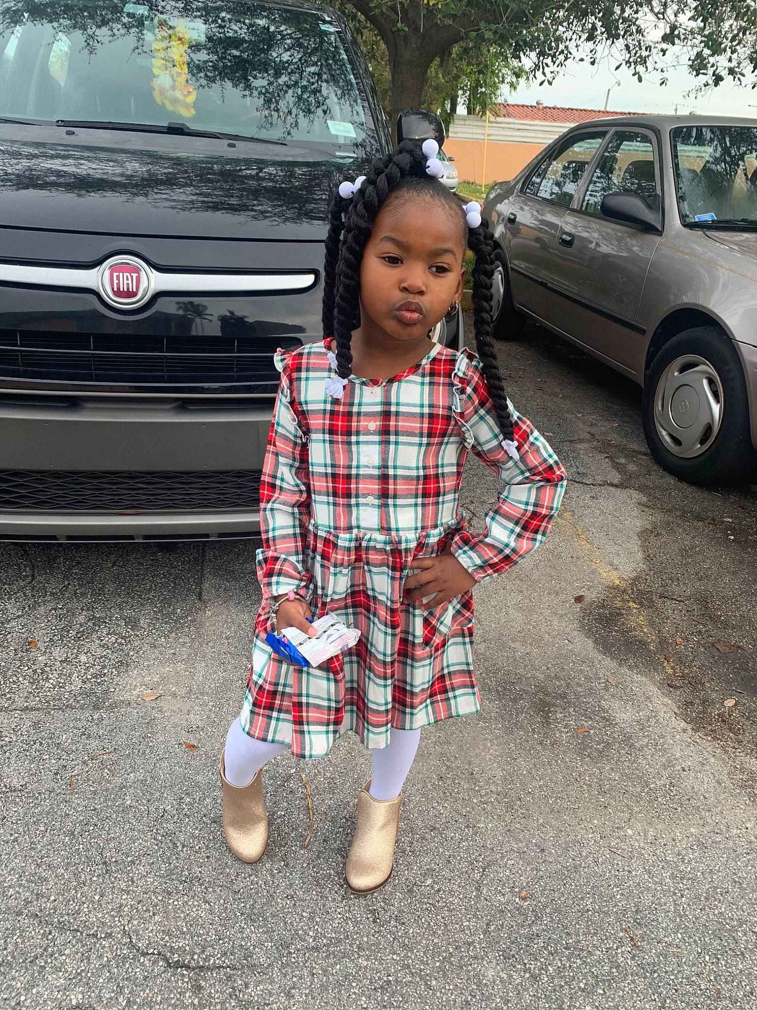 Teyana is registered to the contest to win money with this photo: car, child, city_car, design, family_car, long_hair, luxury_vehicle, minivan, outerwear, pattern, person, plaid, plant, smile, standing, tartan, textile, vacation, vehicle, vehicle_door
