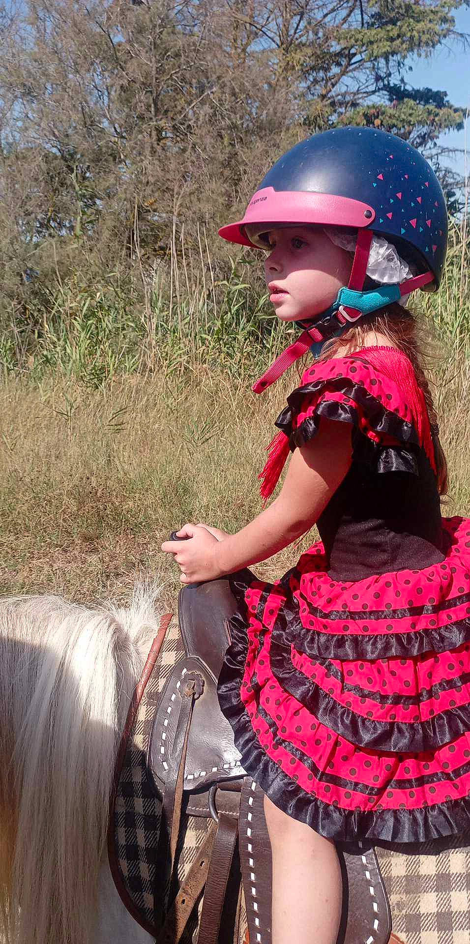 Liana participe au concours pour gagner de l'argent avec cette photo : bridle, cool, event, fun, headwear, helmet, horse, horse_supplies, horse_tack, landscape, magenta, pack_animal, person, personal_protective_equipment, pink, plant, recreation, rein, sports_gear, toddler