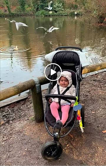 Nevaeh Horstead joined the competition — help win amazing prizes! adventure, baby_carriage, baby_products, fun, grass, headwear, lake, leisure, outdoor_recreation, people_in_nature, person, personal_protective_equipment, plant, recreation, sitting, spring, tire, toddler, tree, vertebrate