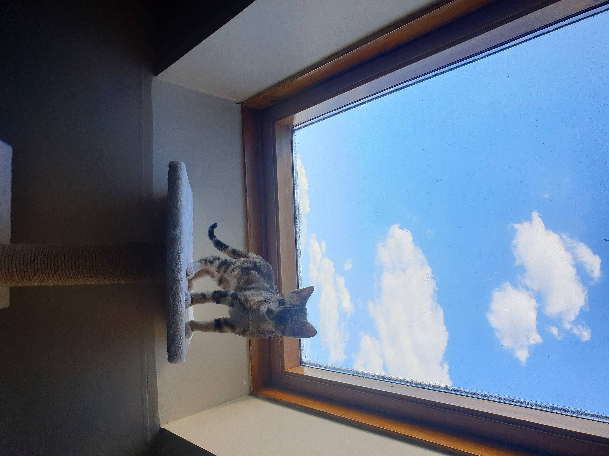 Riley a rejoint le concours — aidez-le/la à gagner de superbes lots ! architecture, blue, building, ceiling, daylighting, glass, hardwood, home, house, interior_design, molding, plaster, room, sky, window, wood