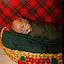 baby, sleeping, basket, blanket, christmas, holiday, plaid_background, green_blanket, newborn, infant, festive, decoration, cozy, wrapped, cute, peaceful, indoors, portrait, small_child, holiday_banner
