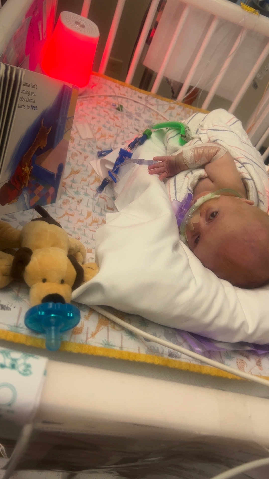 Johnathan is registered to the contest to win money with this photo: baby, crib, hospital, medical_tubes, blanket, pacifier, plush_toy, dog_toy, nightlight, red_light, bed, infant, child, healthcare, hospital_equipment, person, resting, wrapped, sleeping, indoors