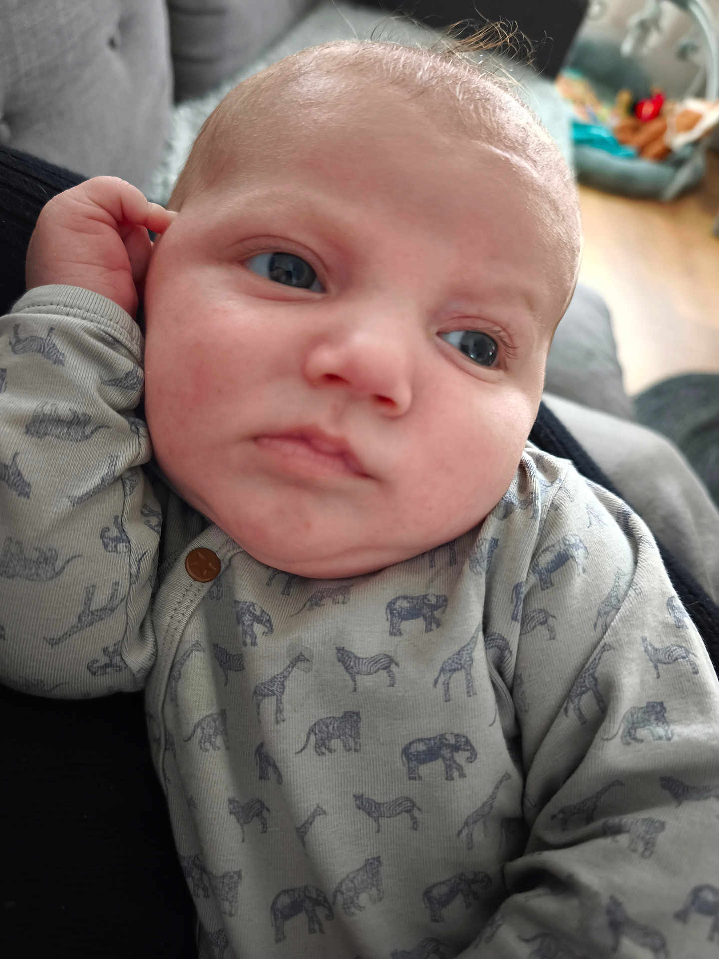 Ezio a rejoint le concours — aidez-le/la à gagner de superbes lots ! baby, infant, face, hand, onesie, animal_print, indoor, soft_lighting, expression, skin, head, person, newborn, child, closeup, couch, fabric, comfort, portrait, cute