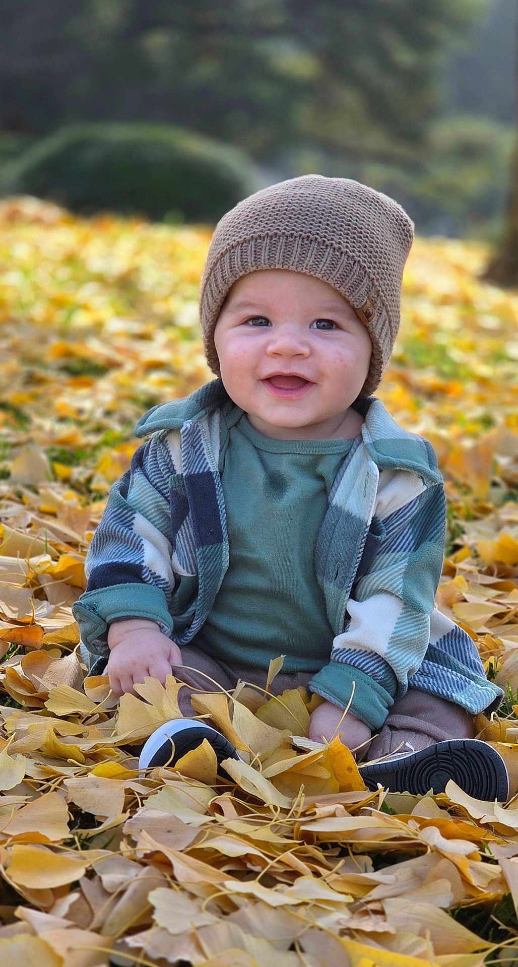 Bernardo is registered to the contest to win money with this photo: baby, child, smile, autumn, leaves, hat, plaid_jacket, outdoor, nature, seasonal, cute, sitting, fall, green_shirt, footwear, happy, young, portrait, sunlight, grass