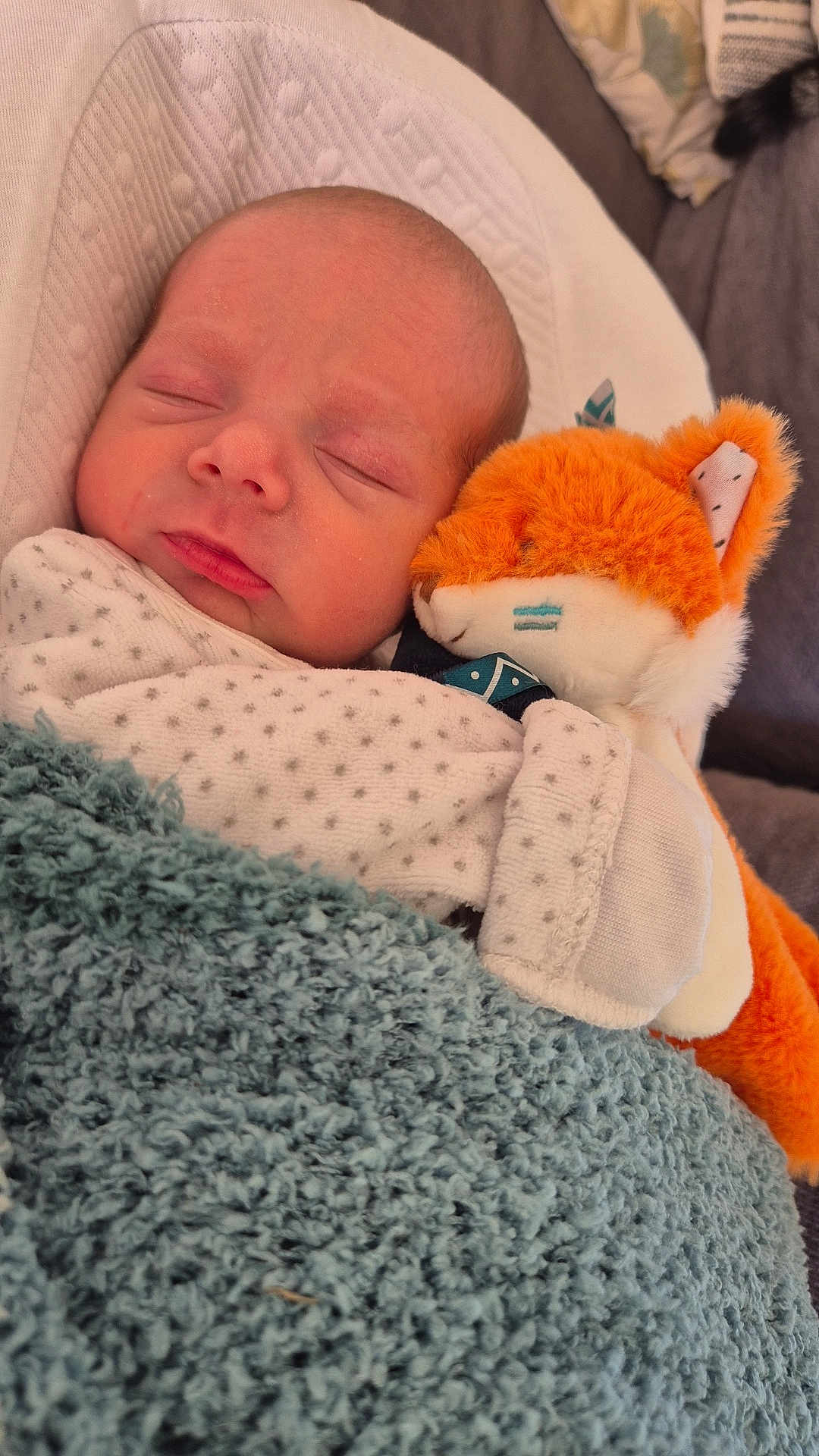 Esteban participe au concours pour gagner de l'argent avec cette photo : newborn, baby, sleeping, blanket, plush_toy, fox, cozy, infant, soft, cute, child, resting, comfort, warm, indoors, portrait, face, clothing, cute_toy, peaceful