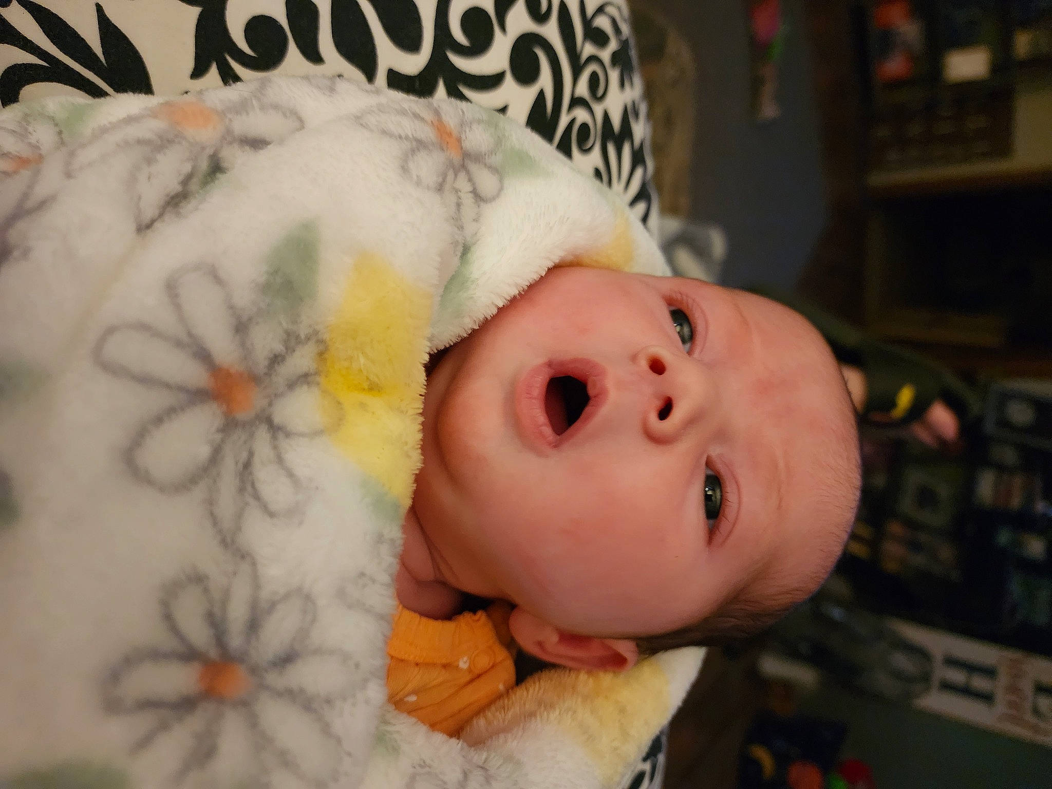 Ella is registered to the contest to win money with this photo: baby, baby_products, baby_safety, baby_sleeping, baby_toddler_clothing, cheek, child, computer_keyboard, eyebrow, eyelash, fun, fur, happy, iris, lip, nose, person, portrait_photography, room, skin