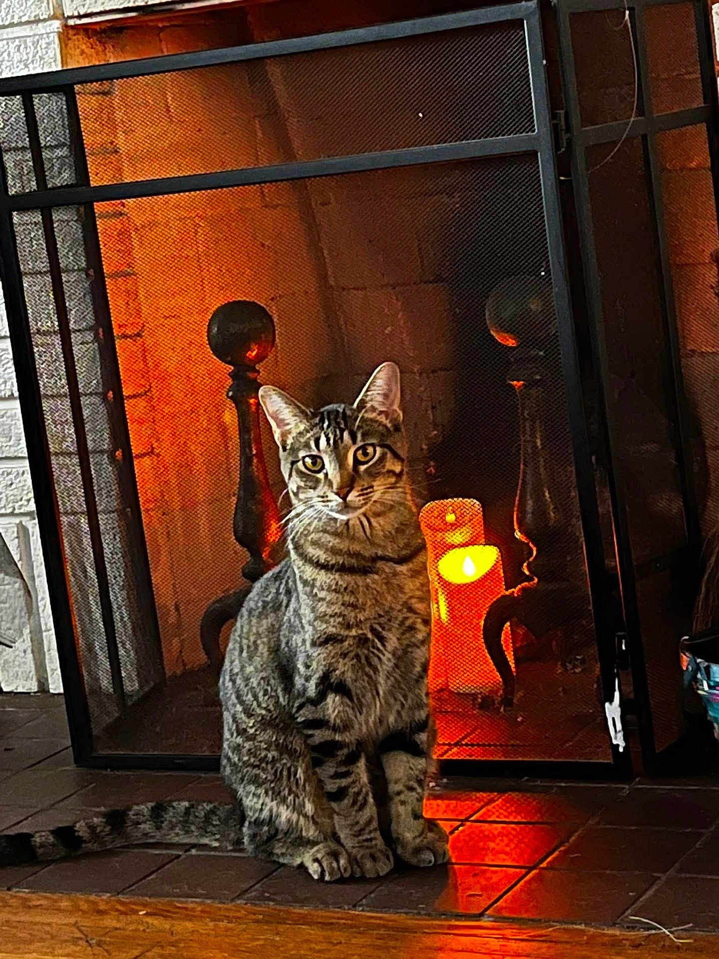 Butters joined the competition — help win amazing prizes! cat, tabby, fireplace, candle, glow, indoor, pet, cozy, feline, sitting, tile_floor, warm_light, home, decor, relaxing, animal, domestic_cat, quiet, resting, household