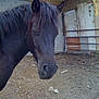 Noirot participe au concours pour gagner de l'argent avec cette photo :