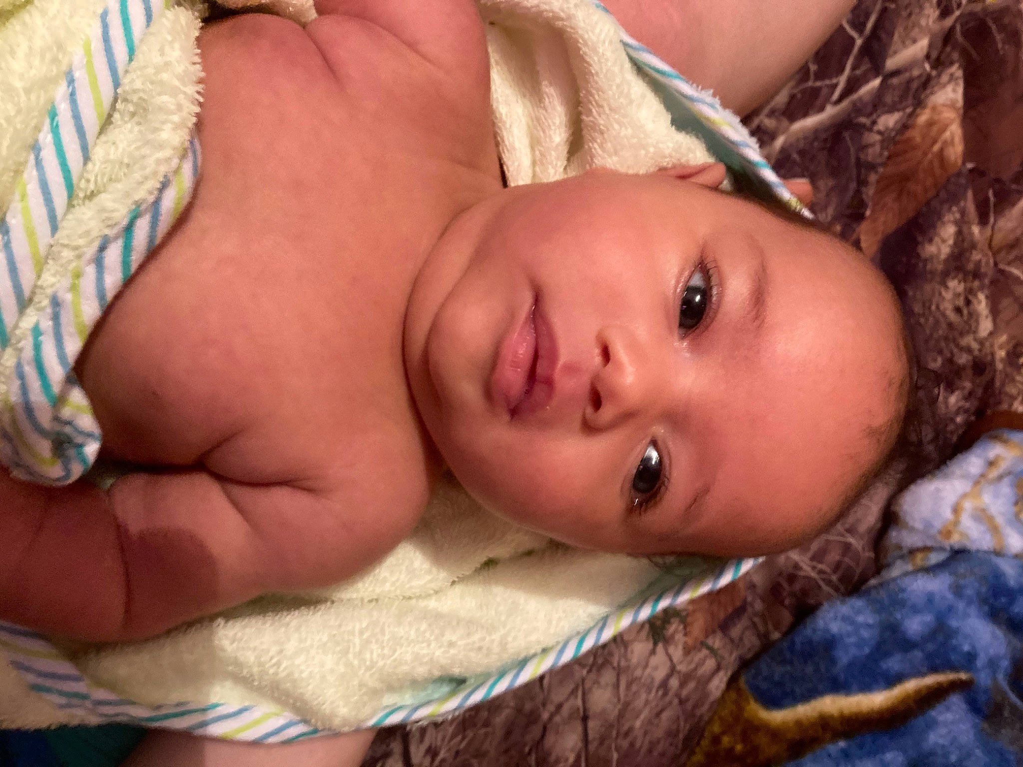 Nova joined the competition — help win amazing prizes! abdomen, baby, cheek, chest, child, comfort, eyelash, grass, happy, human_body, linens, lip, mouth, neck, nose, person, skin, toddler, tree, trunk