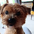 Marie Odile L.