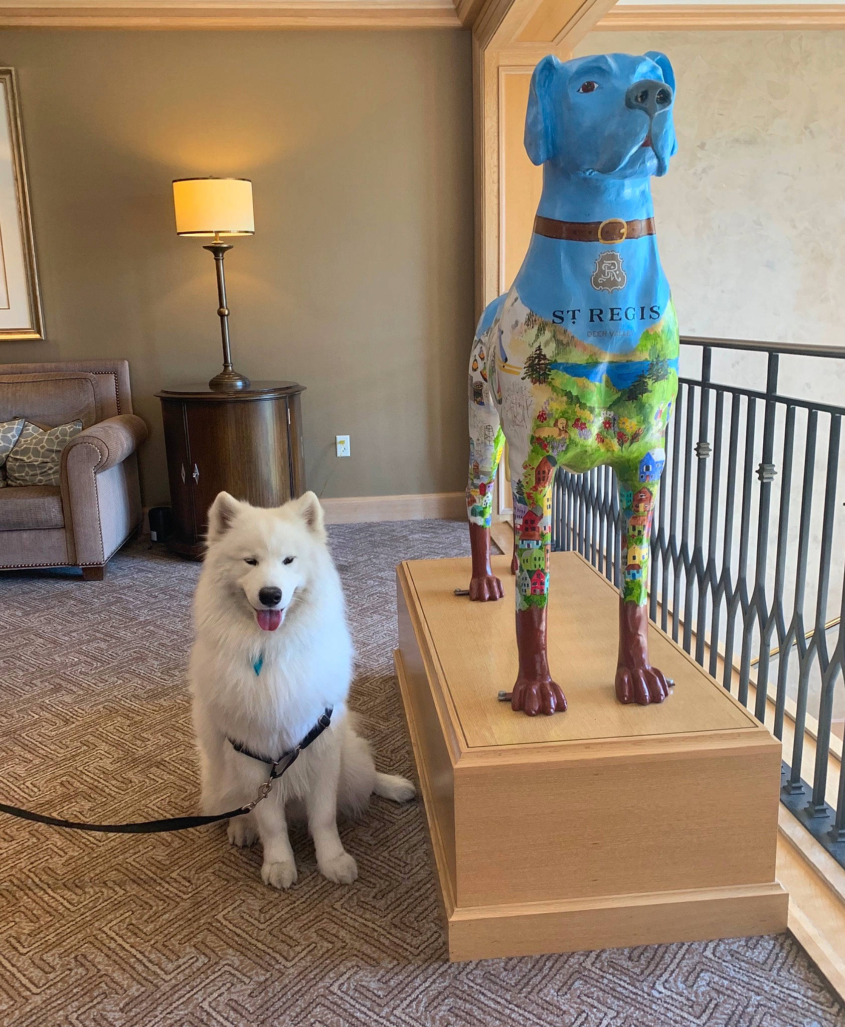 Maui joined the competition — help win amazing prizes! art, blue, carnivore, companion_dog, couch, dog, dog_breed, fawn, floor, flooring, hardwood, interior_design, lamp, living_room, mammal, picture_frame, sculpture, spitz, vertebrate, wood