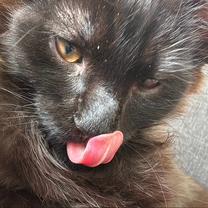 Smokey