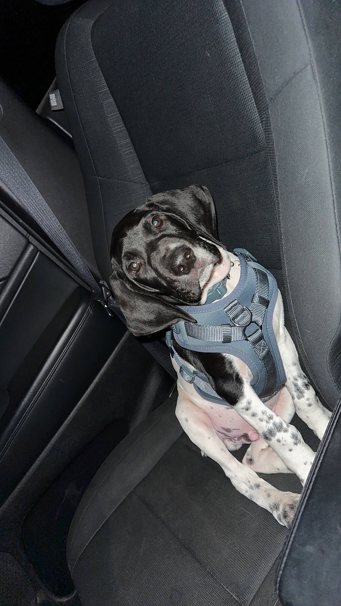 Creed joined the competition — help win amazing prizes! auto_part, automotive_design, automotive_exterior, automotive_tire, automotive_wheel_system, automotive_window_part, car, car_seat, car_seat_cover, comfort, family_car, head_restraint, luxury_vehicle, motor_vehicle, personal_luxury_car, steering_part, trunk, vehicle, vehicle_door, windshield