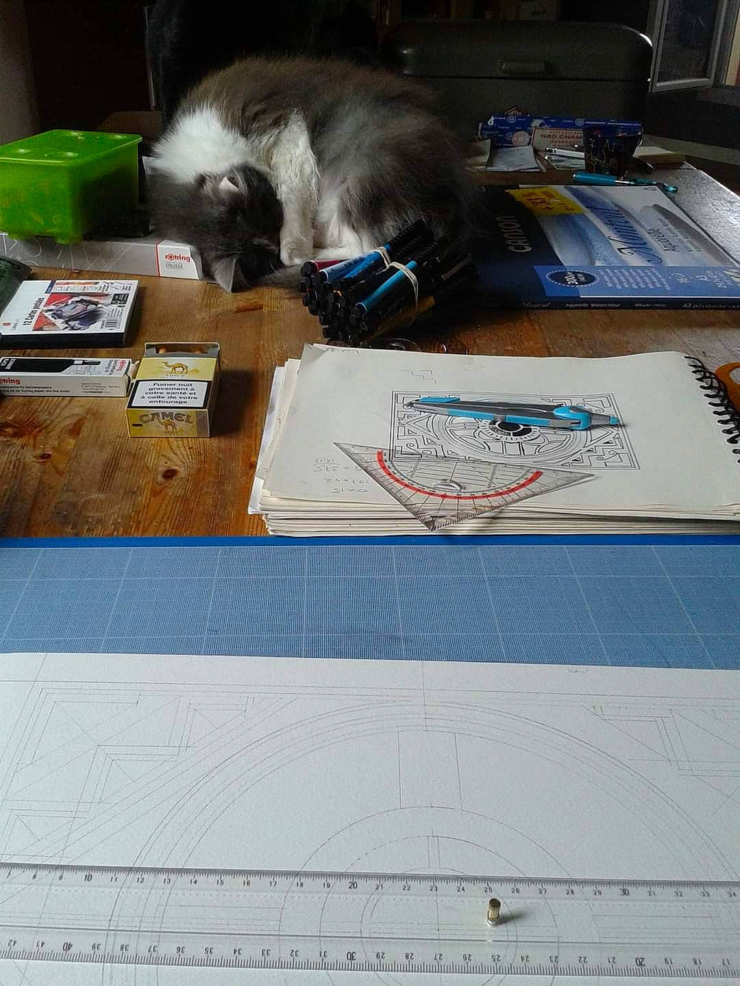 Shiva a rejoint le concours — aidez-le/la à gagner de superbes lots ! box, cardboard, carnivore, cat, domestic_short_haired_cat, felidae, flooring, fur, hardwood, linens, paper, paper_product, pattern, publication, shipping_box, small_to_medium_sized_cats, stationery, table, whiskers, wood