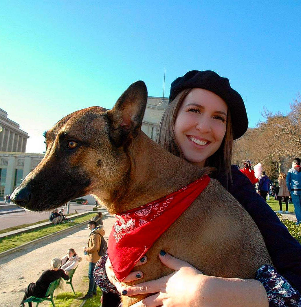 Nesquik participe au concours pour gagner de l'argent avec cette photo : building, carnivore, collar, companion_dog, dog, dog_breed, dog_collar, fawn, grass, happy, hat, plant, sky, smile, snout, sporting_group, sun_hat, travel, window, working_animal