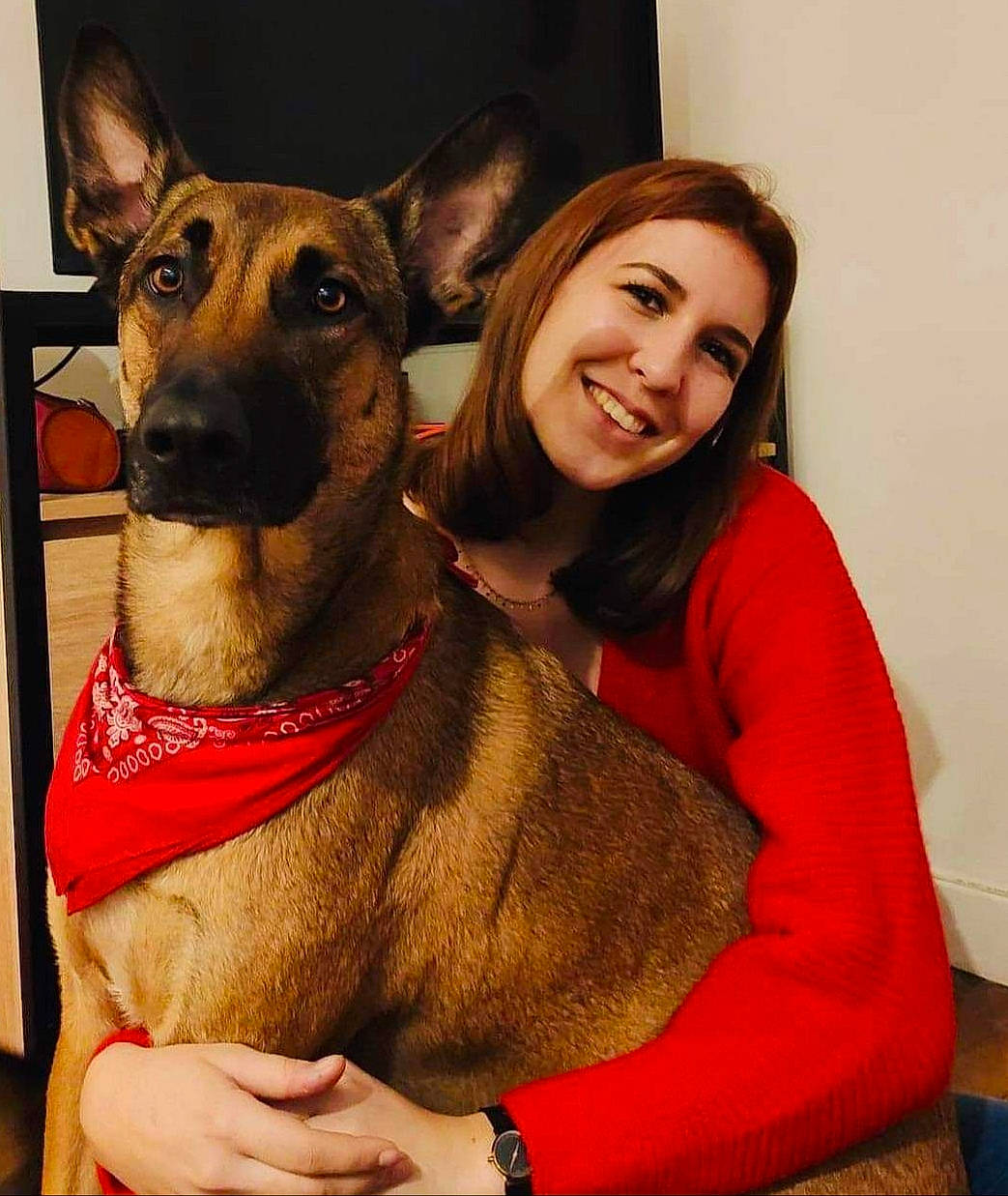 Nesquik participe au concours pour gagner de l'argent avec cette photo : carnivore, collar, comfort, companion_dog, dog, dog_breed, dog_collar, ear, fawn, fur, giant_dog_breed, happy, head, organ, sleeve, smile, snout, watch, whiskers, working_animal