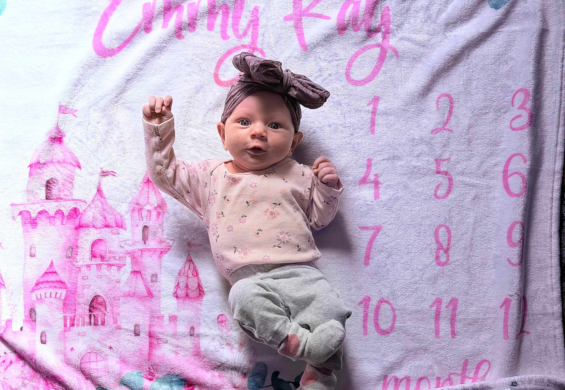 Emmy Kay is registered to the contest to win money with this photo: baby, infant, newborn, headband, blanket, milestone_blanket, pink, castle_illustration, numbers, onesie, socks, lying_down, portrait, cute, smile, hands, eyes, fabric, soft_light, photography