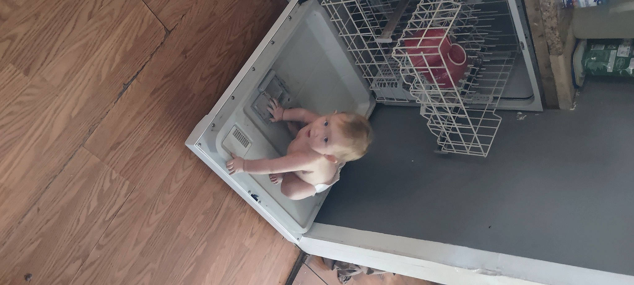 Marilyn joined the competition — help win amazing prizes! baby, baby_products, ceiling, child, comfort, floor, flooring, hardwood, mammal, material_property, person, plastic, plywood, product, room, shelf, table, toddler, toy, vertebrate