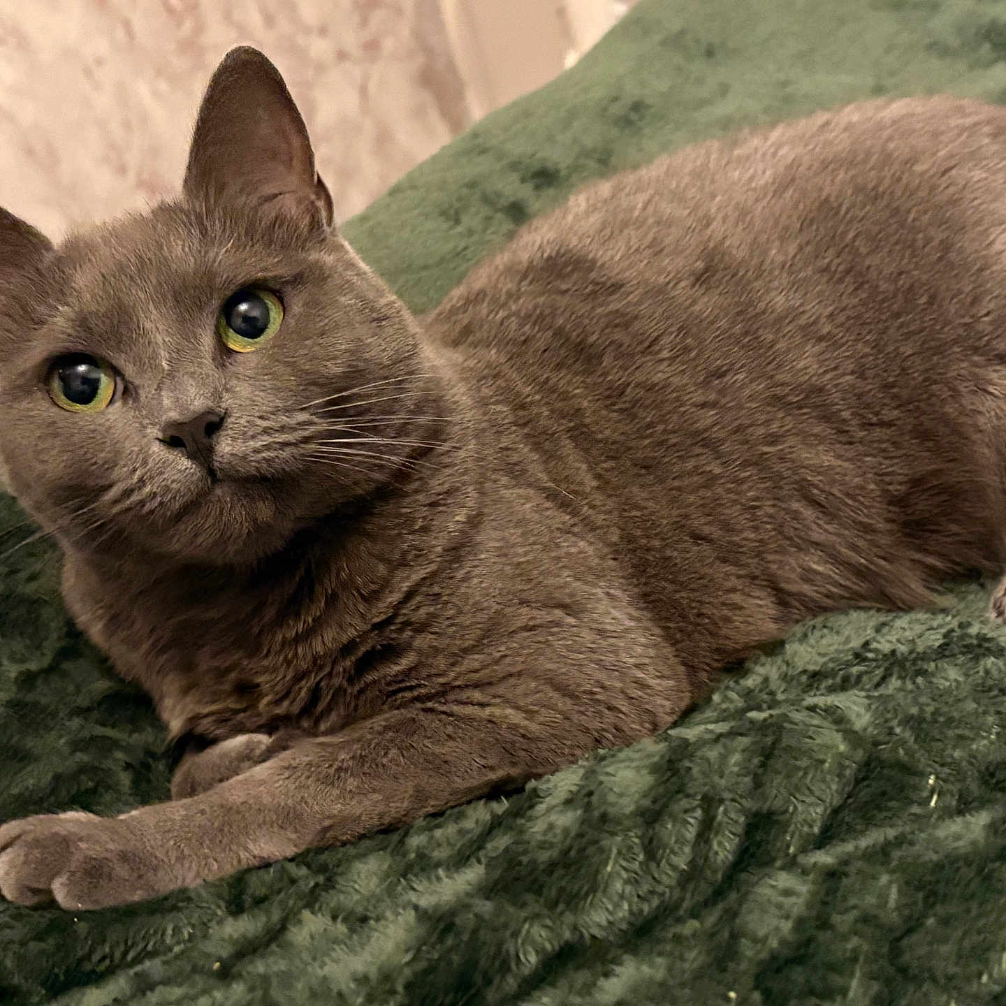 Minnie