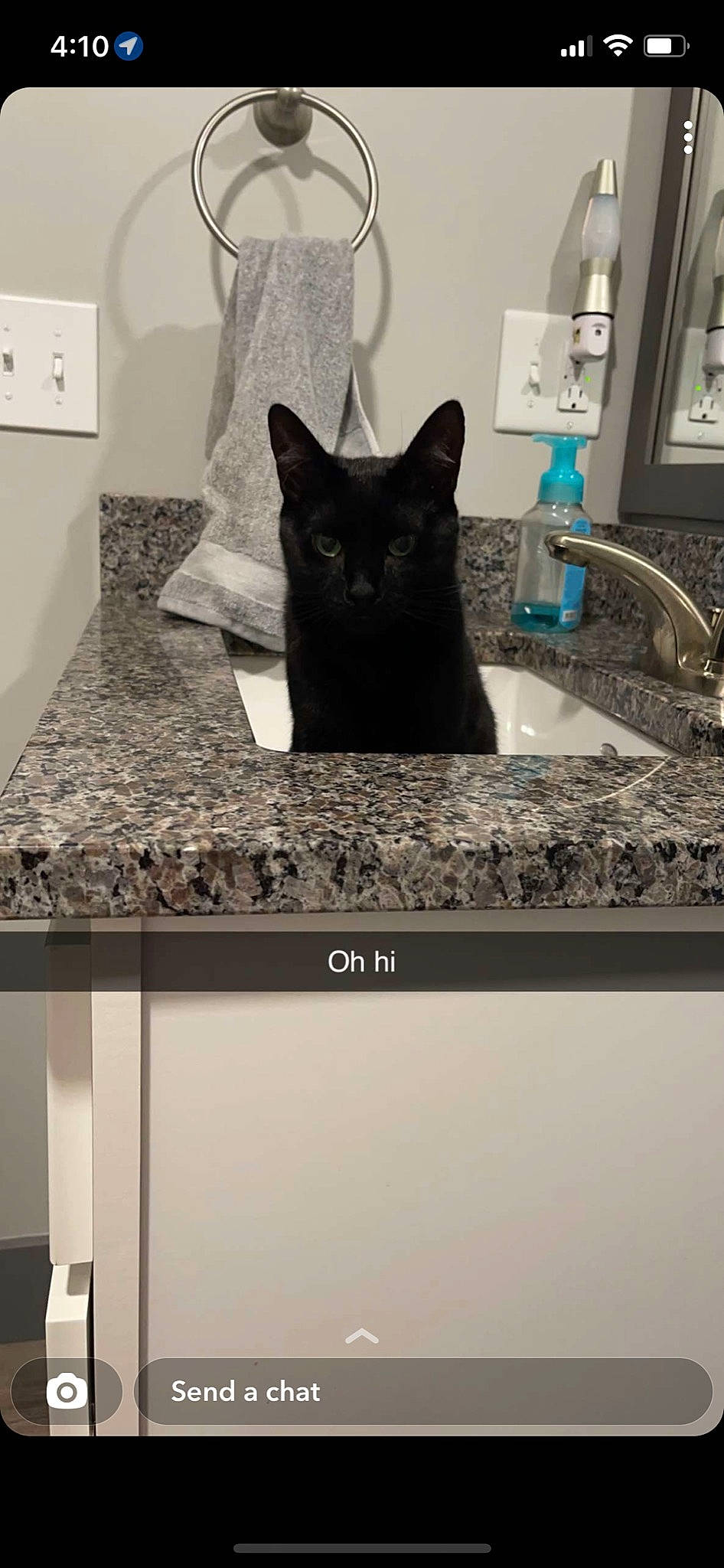 Edgar is registered to the contest to win money with this photo: bathroom_sink, black, bombay, cabinetry, carnivore, cat, countertop, felidae, floor, flooring, grey, interior_design, output_device, plumbing_fixture, rectangle, sink, small_to_medium_sized_cats, tap, whiskers, white