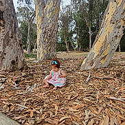 Andrea joined the competition — help win amazing prizes! toddler, child, forest, trees, leaves, nature, outdoor, barefoot, dress, blue_bow, ground, sitting, curious, daylight, park, trunk, woodland, young_child, exploration, casual