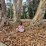 toddler, child, forest, trees, leaves, nature, outdoor, barefoot, dress, blue_bow, ground, sitting, curious, daylight, park, trunk, woodland, young_child, exploration, casual
