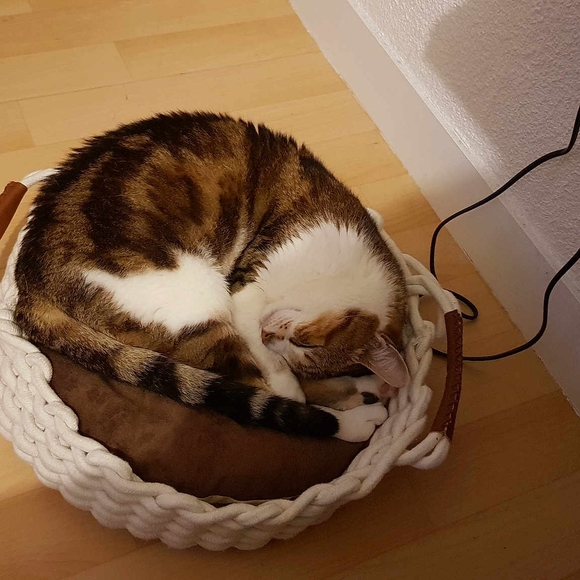 Ratatouille