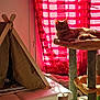 cat, cat_tree, indoor, tent, curtains, red_curtains, sunlight, cozy, pet, feline, resting, furniture, home, soft_light, relaxing, animal, window, fabric, shade, room